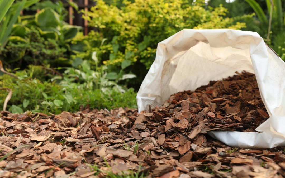What Is Bark Dust—and Why Is Everyone in Salem Using It for Their Landscaping?