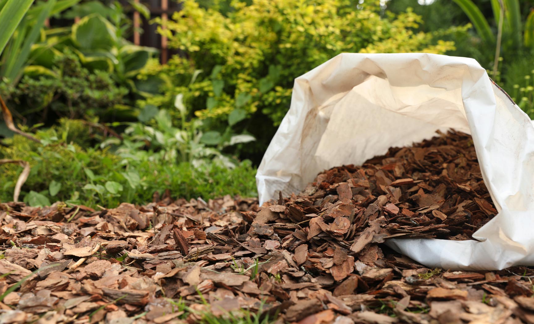 bark-img-2 A bag of mulch from Salem's leading landscaping services spills elegantly onto a garden bed, enhancing the lush green plants in the background.
