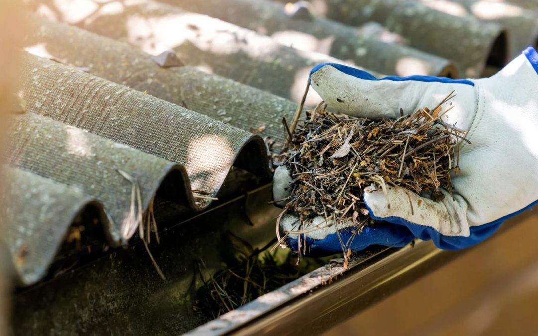 5 Signs Your Property Needs Professional Gutter Cleaning