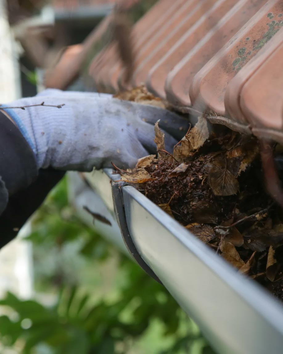 gutter-img-2
