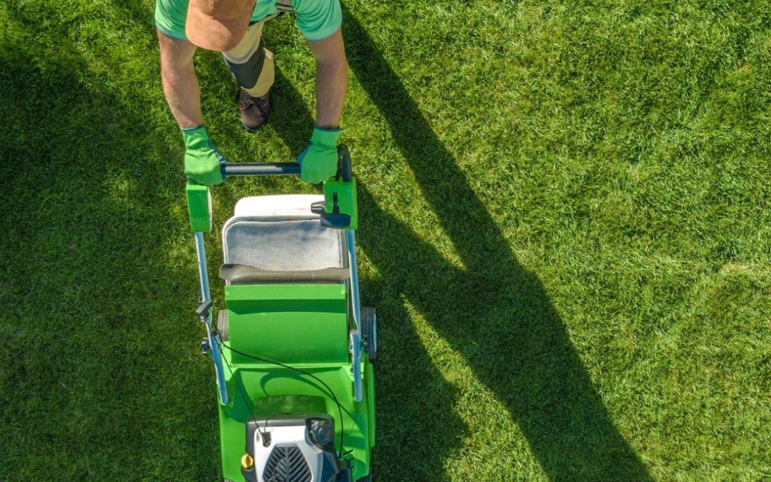 Summer Lawn Care in Salem OR That Keeps Your Grass Green