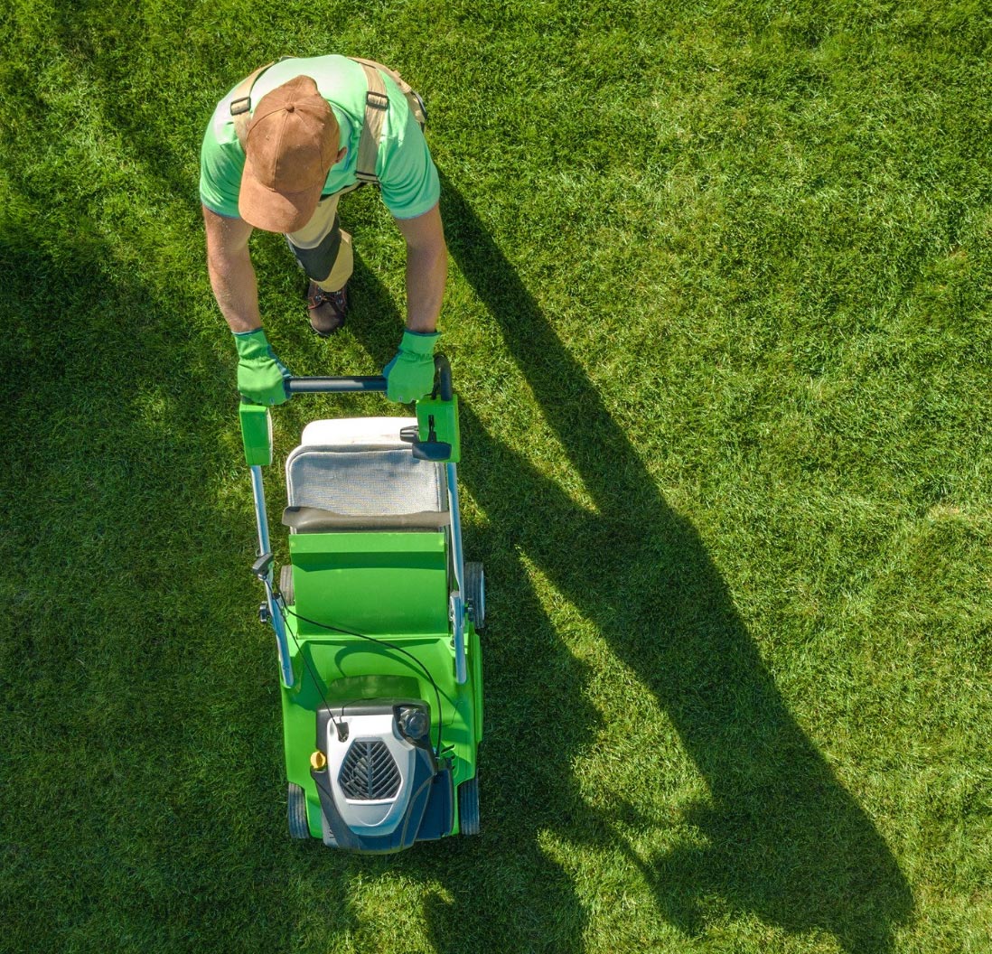 lawn maintenance