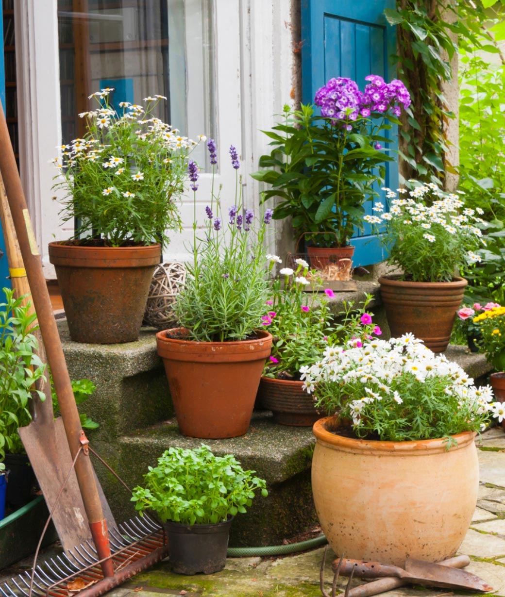 spring clean-up