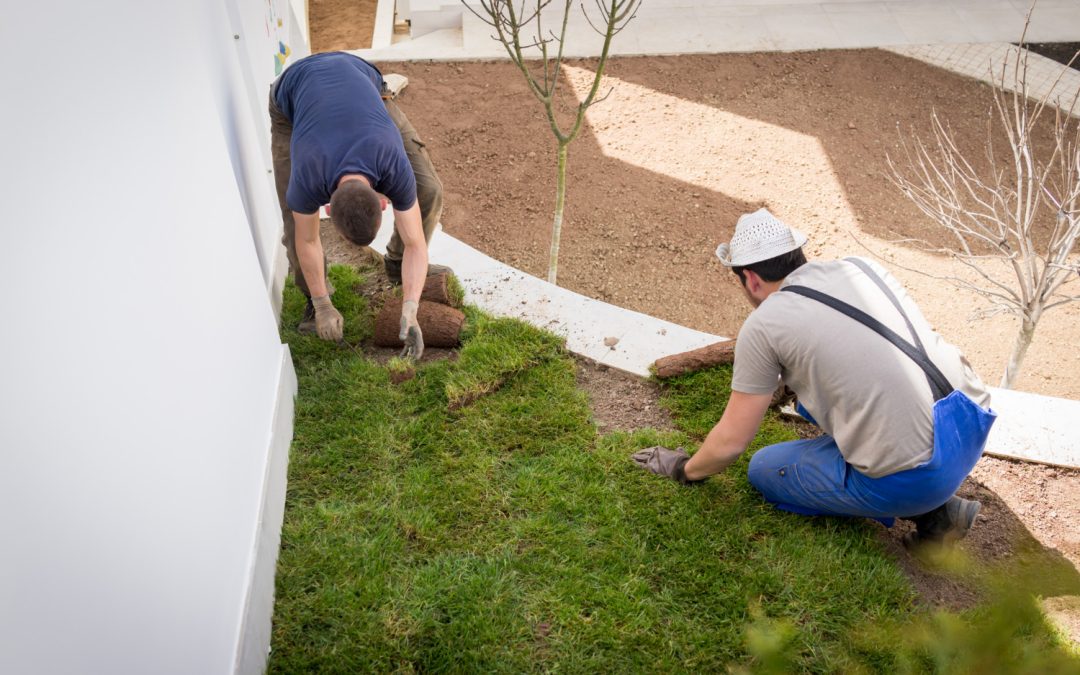 Why Landscaping Is More Than Just Curb Appeal: The Hidden Benefits