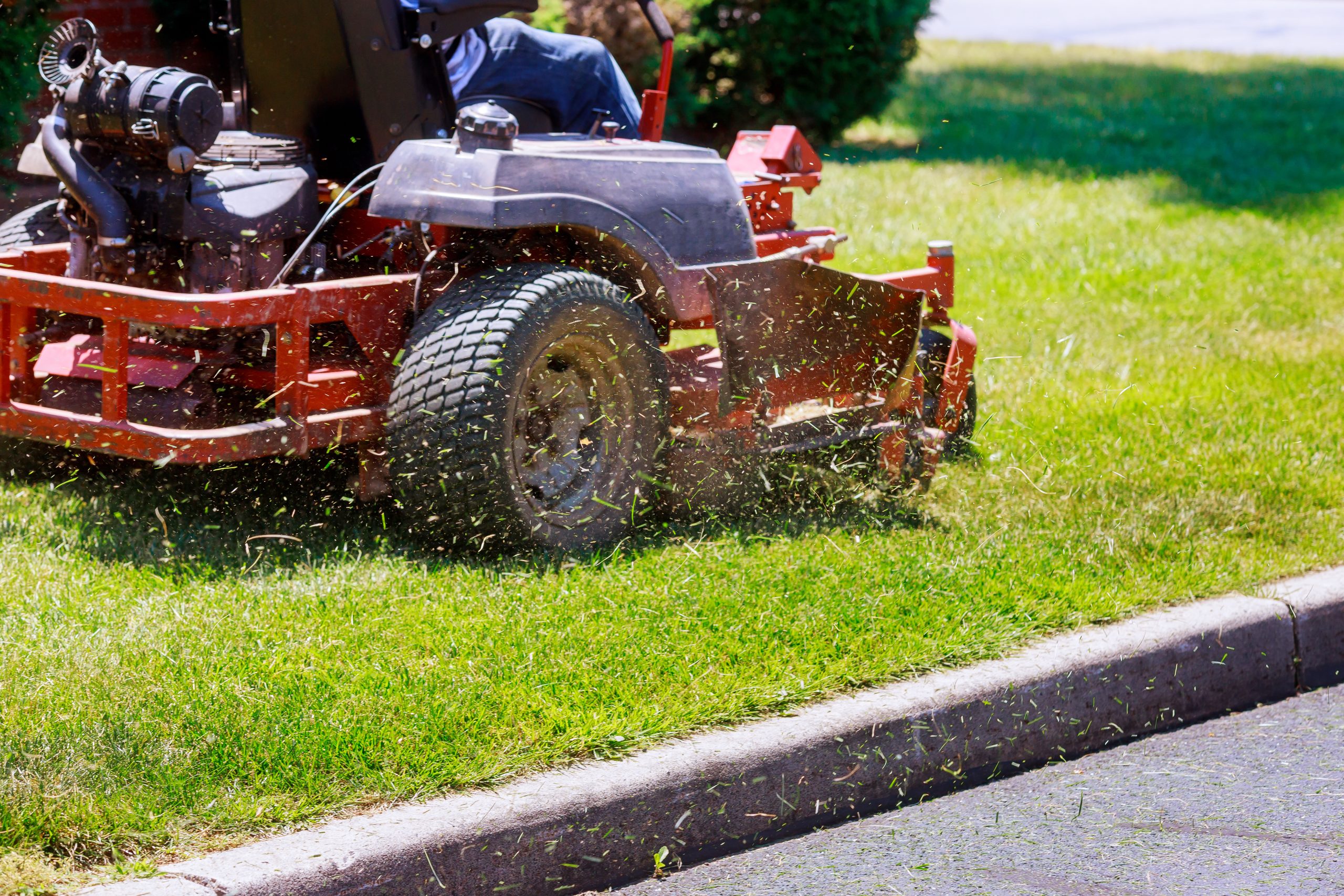 process of lawn mowing, concept of mowing the lawn, lawnmower cutting grass with gardening tools Why Regular Lawn Maintenance Is the Secret to a Healthy, Picture-Perfect Yard