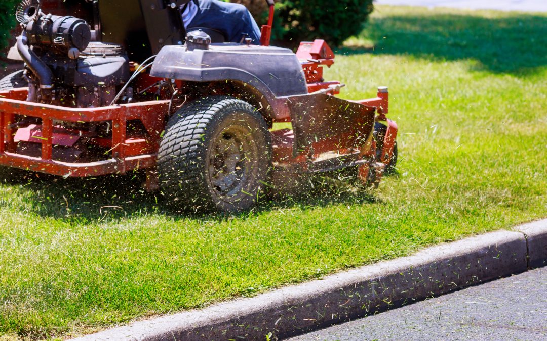 Spring Is Here! 5 Essential Lawn Maintenance Tips to Keep Your Yard Looking Its Best