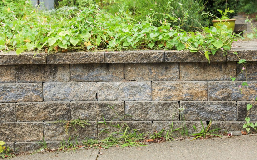 Retaining Wall Basics: How to Prevent Soil Erosion on Sloped Yards