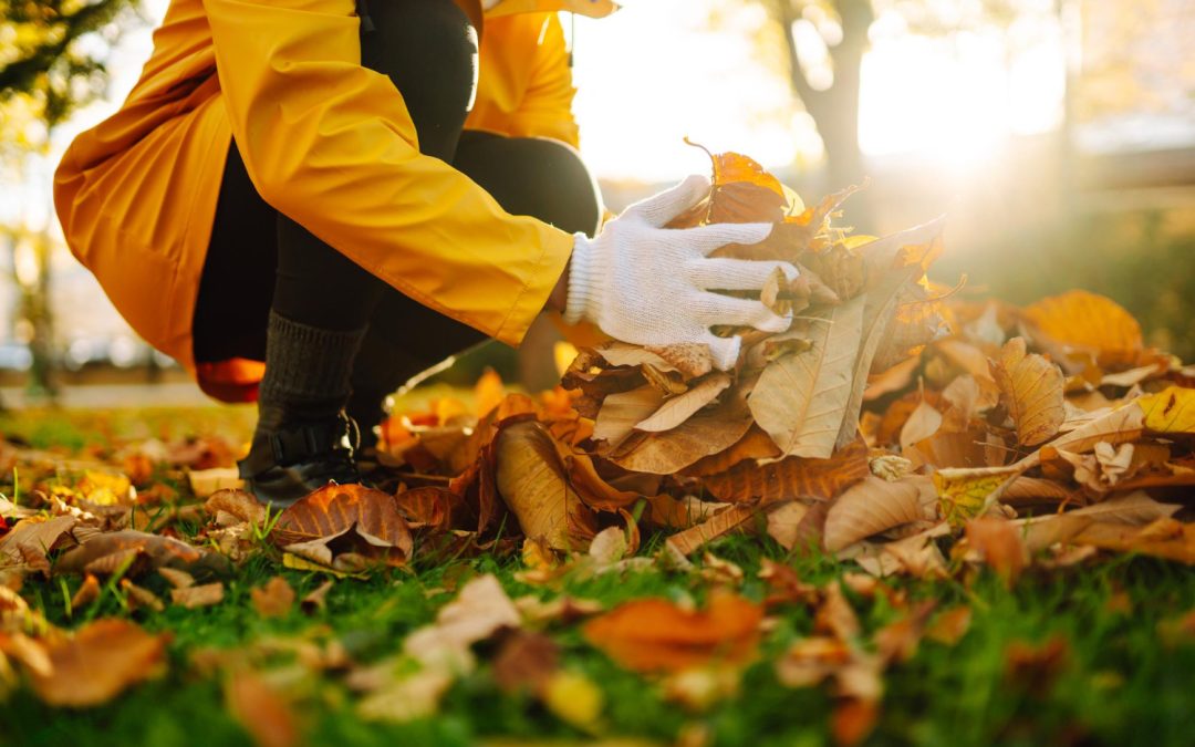 Fall Yard Cleanup Tips Every Homeowner Should Know in Salem, Oregon