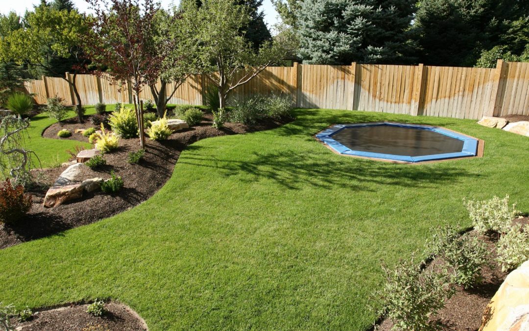 Choosing the Right Lawn Care Service: What to Look For in a Professional Lawn Maintenance Company